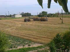 URSUS podczas wożenia słomy