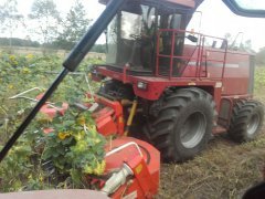 Case 7800