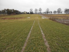 Jęczmień ozimy Titus