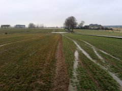 Pszenica Meister & Hondia