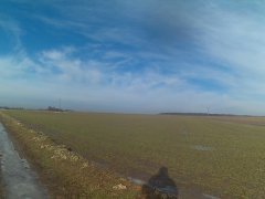 Pszenica ozima juljus