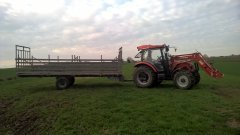 Ursus c382