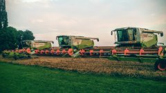 2x Claas Lexion 600 & Claas Lexion 770 /\ 3x Vario 1050