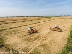 2x Claas Lexion 600