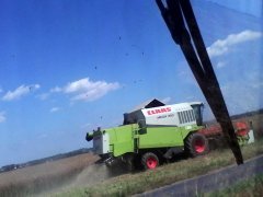 Akcja rzepak