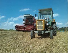 Bizon Z056 Ursus C-360