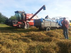 Case IH Dania D 7200 / Dronningborg D 7200  Ursus C 360+ Rozrzutnik