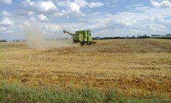 Claas Dominator 85