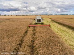 Claas Lexion 560