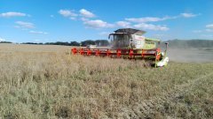 Claas Lexion 770 & V1200