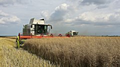 Claas Lexion & Claas Tucano