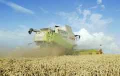 Claas Lexion