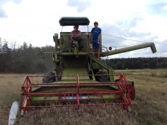 Claas Matador Gigant