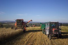 Dronningborg d3000 + Massey Ferguson 255&Autosan d-44