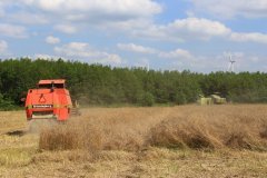 Dronningborg d3000&Claas Consul