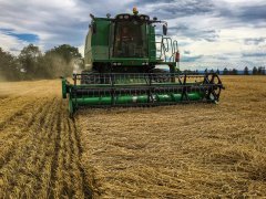 John Deere 1470 pszenica