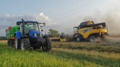 Koszenie rzepaku New Holland T6.120 CR9070