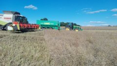 Lexion 600 & John Deere 8310R