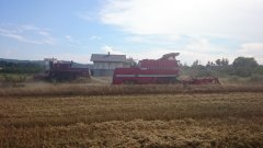 Massey Ferguson 507 i Bizon Super Z056