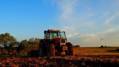 Massey Ferguson 8130