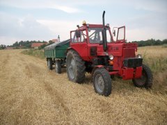 MTZ 80 i D-44