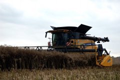 New Holland CR10.90