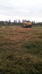 New Holland tc5070
