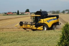 New Holland