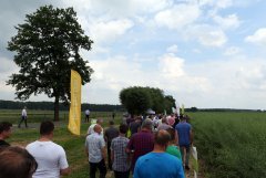 Zielone Pola 2017 - Jakubowice