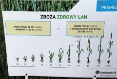 Zielone Pola 2017 - Jakubowice