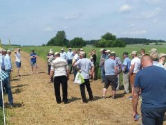 Zielone Pola 2017 - Nowa Wieś