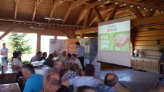 ZIELONE POLA - OSADKOWSKI