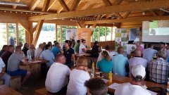 ZIELONE POLA - OSADKOWSKI