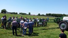 ZIELONE POLA - OSADKOWSKI