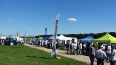 ZIELONE POLA - OSADKOWSKI