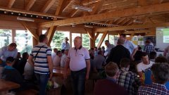 ZIELONE POLA - OSADKOWSKI