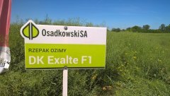 Zielone pola Osadkowski - Pawłowice 01.06 (117).jpg