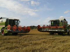 2x claas mega 208