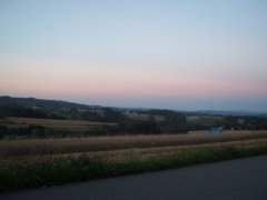 Bizon Rekord i wieczorne żniwa