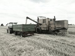 Bizon Z056 & John Deere 5080M & Pronar T653/1