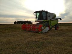 Claas avero 240