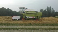 Claas Dominator 48 żniwa 2017