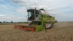 Claas Dominator 76