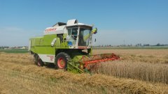 Claas Dominator 76