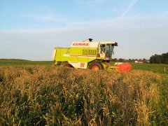 Claas dominator 98 classic