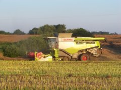 Claas Lexion 770