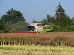 Claas Lexion 770