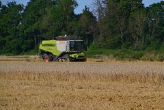 Claas Lexion 770