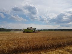 Claas Medion 310