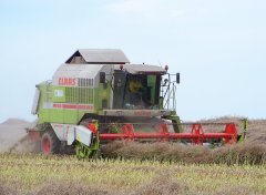 Claas Mega 208 Dominator